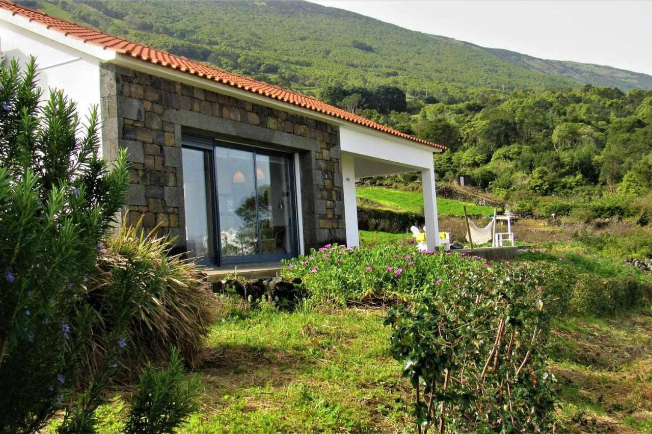 Santo Amaro  Casa Da Arquinhaヴィラ エクステリア 写真