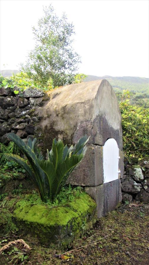 Santo Amaro  Casa Da Arquinhaヴィラ エクステリア 写真