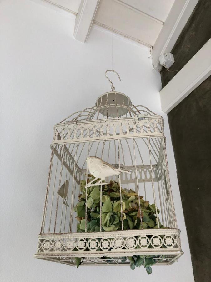 Santo Amaro  Casa Da Arquinhaヴィラ エクステリア 写真